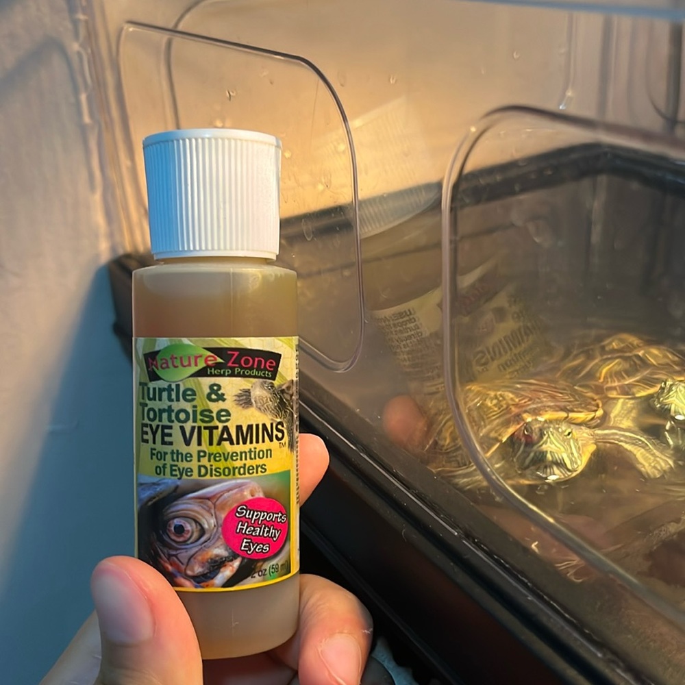 Turtle and tortoise eye vitamins for the prevent of eye disorders